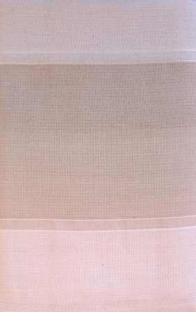 Andrea Beige 135*245 cm Übergardine Vorhang Seitenschal Schlaufen + Gardinenband